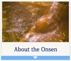 About the Onsen